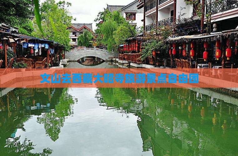 文山去西藏大昭寺自由团