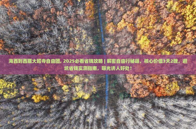 海西到西藏大昭寺自由团