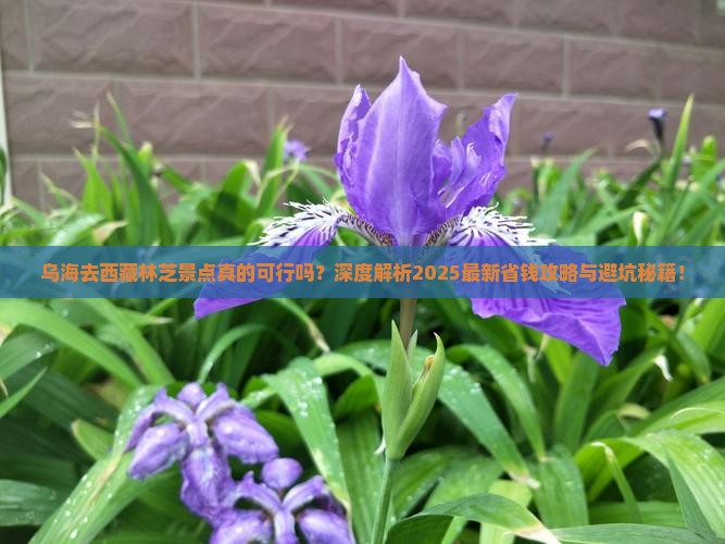乌海去西藏林芝景点 乌海去西藏林芝景点