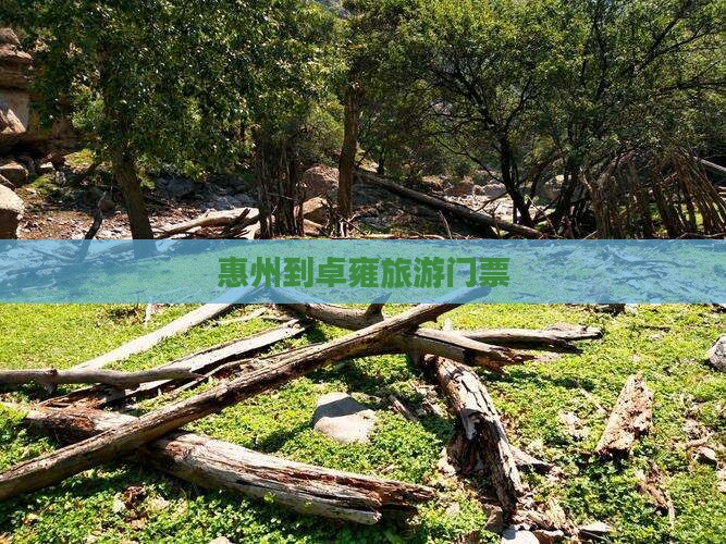 惠州到西藏羊卓雍措门票