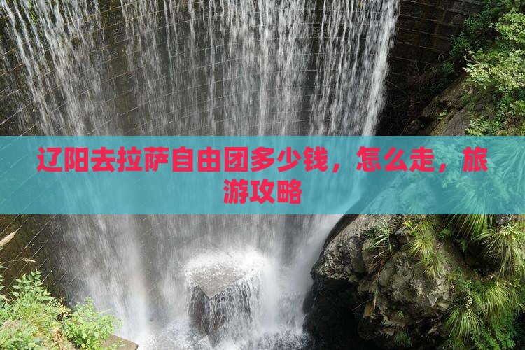 辽阳去西藏拉萨自由团