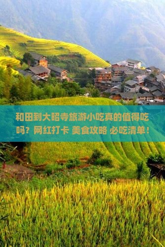 和田到西藏大昭寺旅游小吃