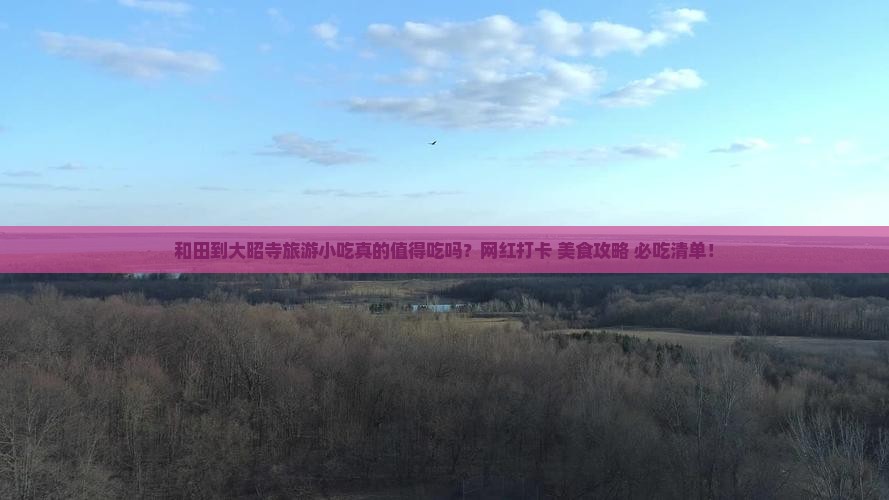 和田到西藏大昭寺旅游小吃