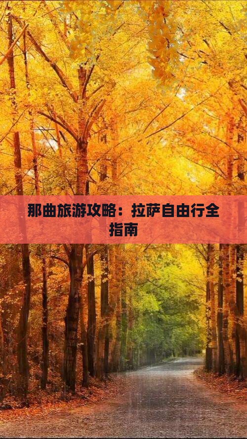 那曲去西藏拉萨自由团