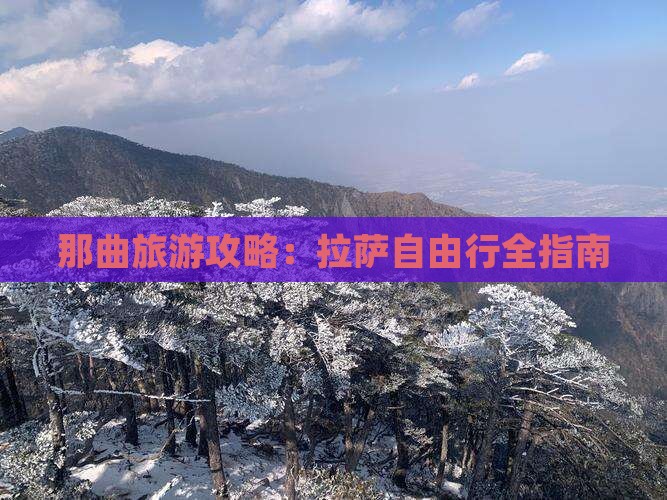 那曲去西藏拉萨自由团