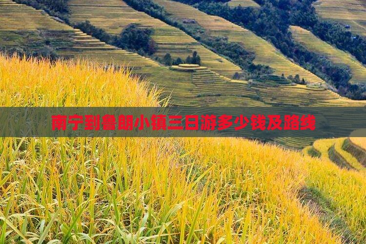南宁到西藏鲁朗小镇三日游