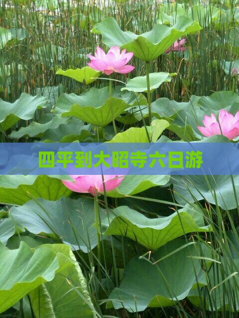 四平到西藏大昭寺六日游