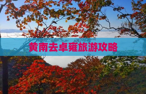 黄南去西藏羊卓雍措自由行