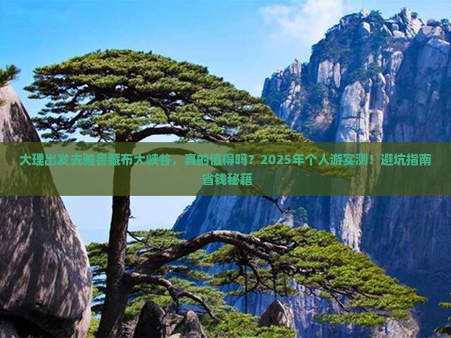 大理到西藏雅鲁藏布大峡谷个人游