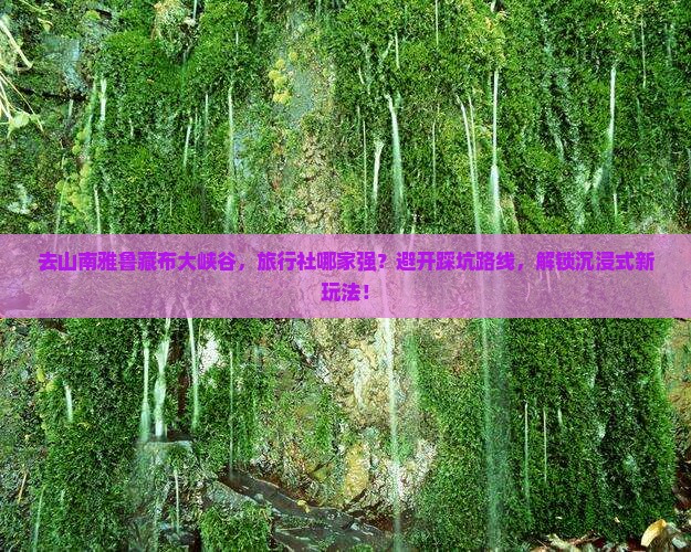山南去西藏雅鲁藏布大峡谷旅行社
