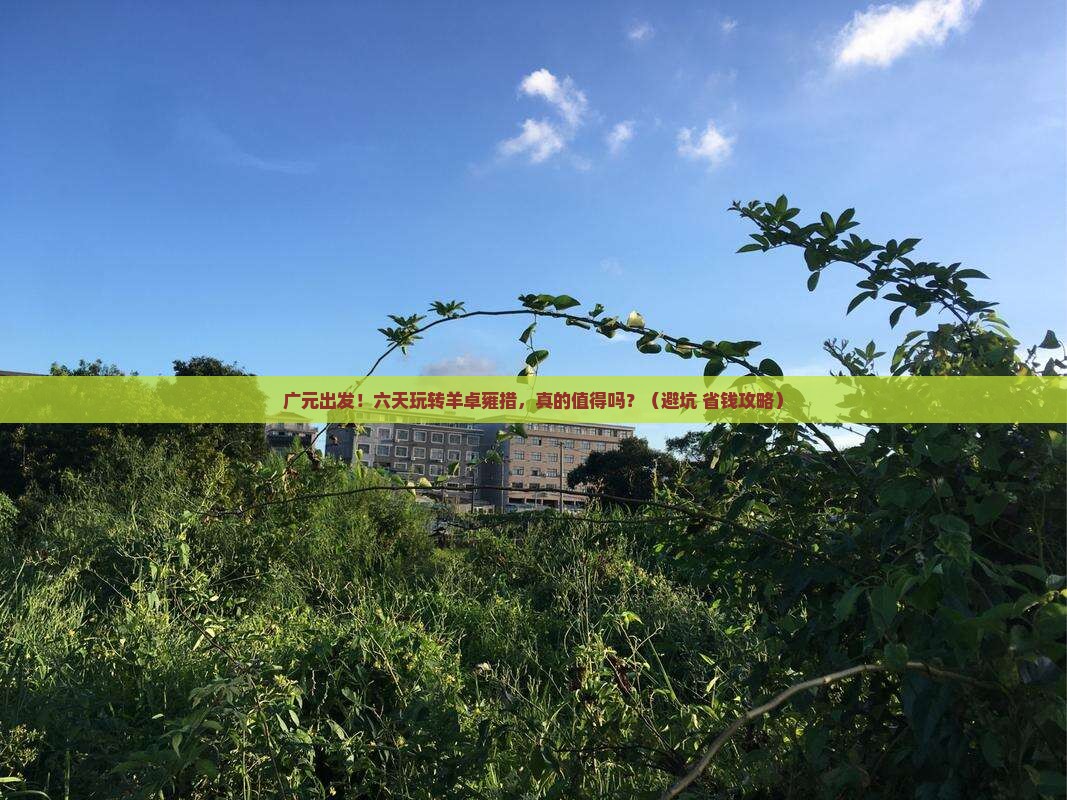 广元到西藏羊卓雍措六日游