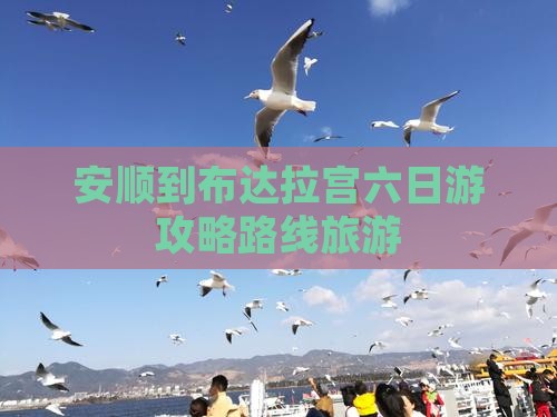 安顺到西藏布达拉宫六日游