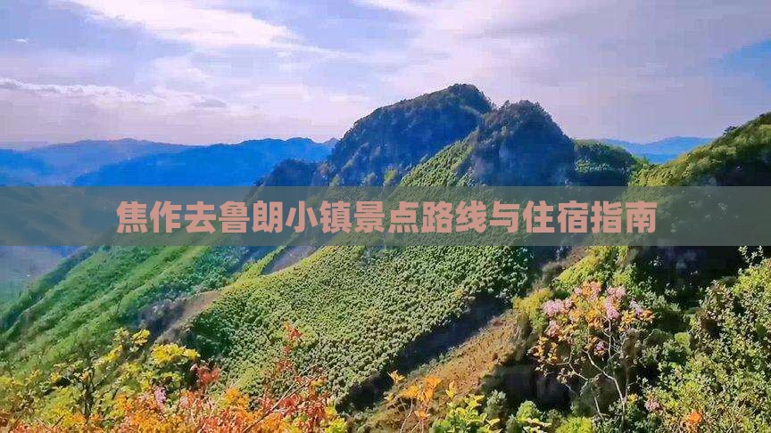 焦作去西藏鲁朗小镇景点