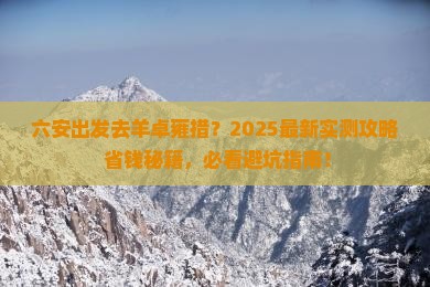 六安到西藏羊卓雍措旅游