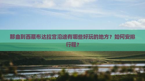 那曲到西藏布达拉宫哪里玩