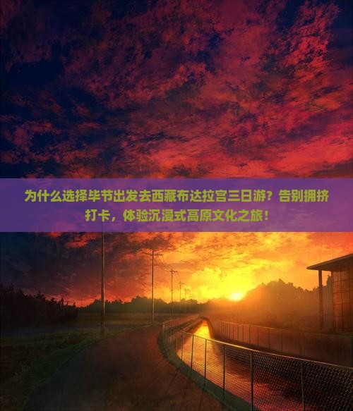 毕节去西藏布达拉宫三日游