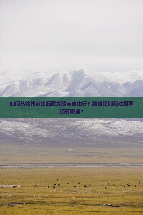 徐州去西藏大昭寺自由行