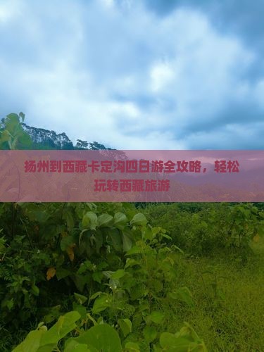 扬州到西藏卡定沟四日游