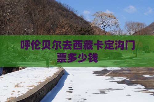 呼伦贝尔去西藏卡定沟门票