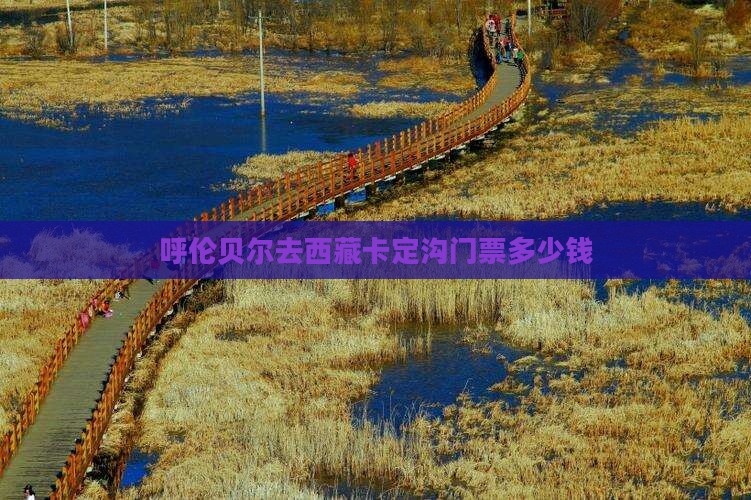 呼伦贝尔去西藏卡定沟门票
