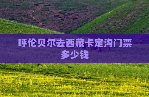 呼伦贝尔去西藏卡定沟门票