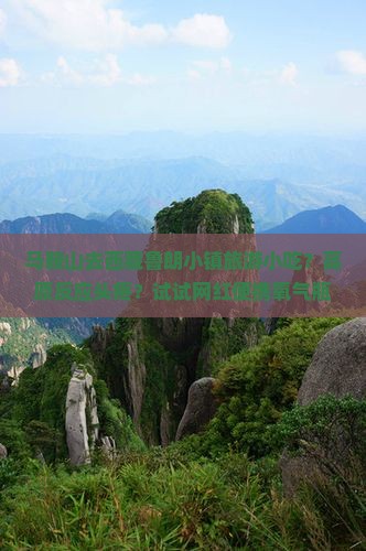 马鞍山去西藏鲁朗小镇旅游小吃