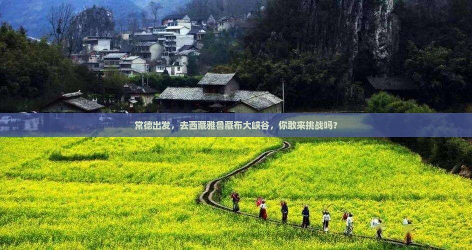 常德去西藏雅鲁藏布大峡谷景点
