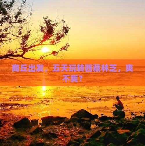 商丘到西藏林芝五日游