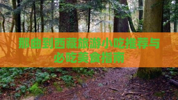 那曲到西藏旅游小吃