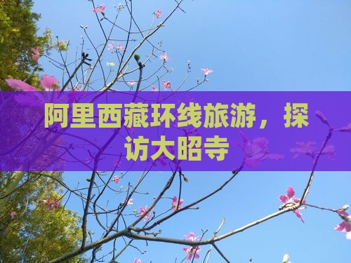 阿里到西藏大昭寺旅游