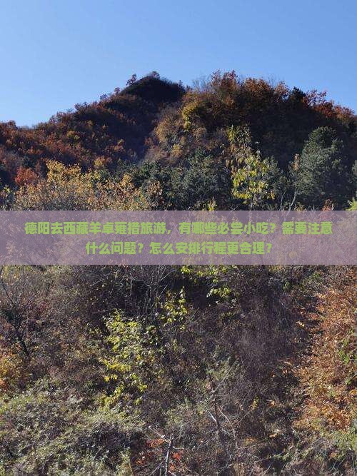 德阳去西藏羊卓雍措旅游小吃