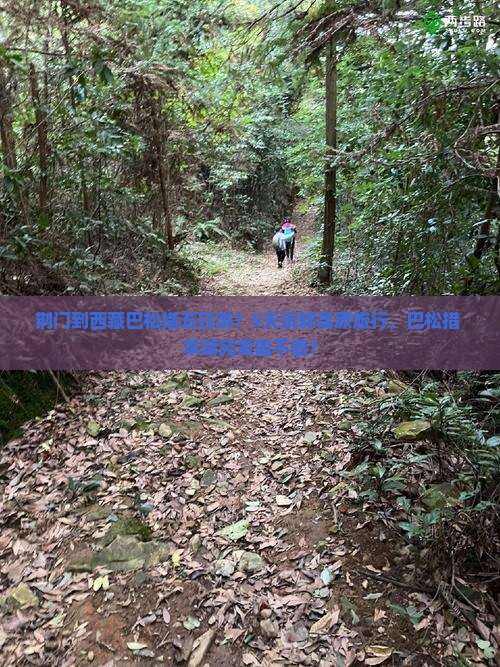 荆门到西藏巴松措五日游