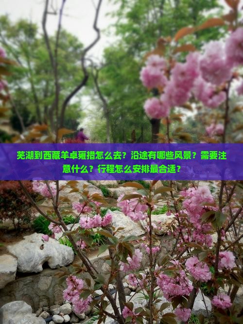 芜湖到西藏羊卓雍措哪里玩