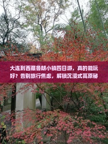 大连到西藏鲁朗小镇四日游