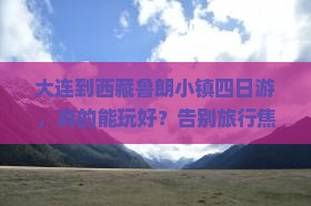 大连到西藏鲁朗小镇四日游