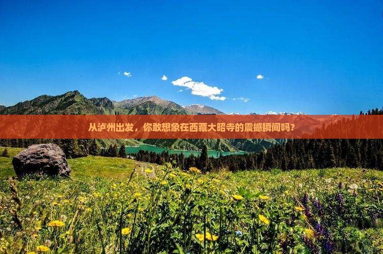 泸州去西藏大昭寺景点