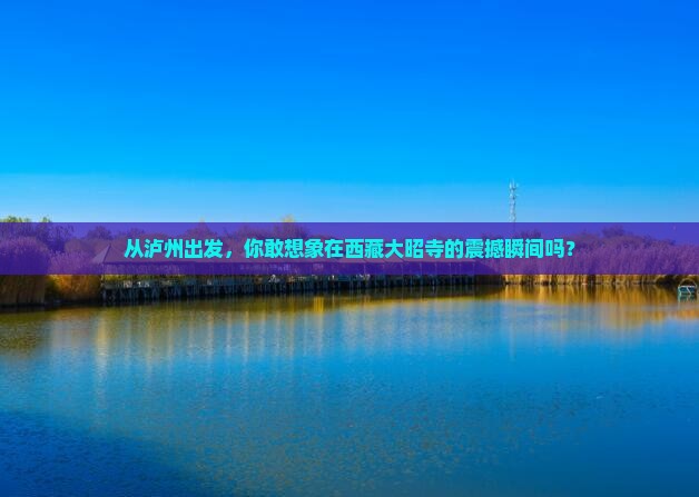 泸州去西藏大昭寺景点