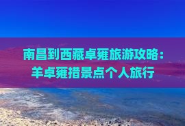 南昌到西藏羊卓雍措个人游