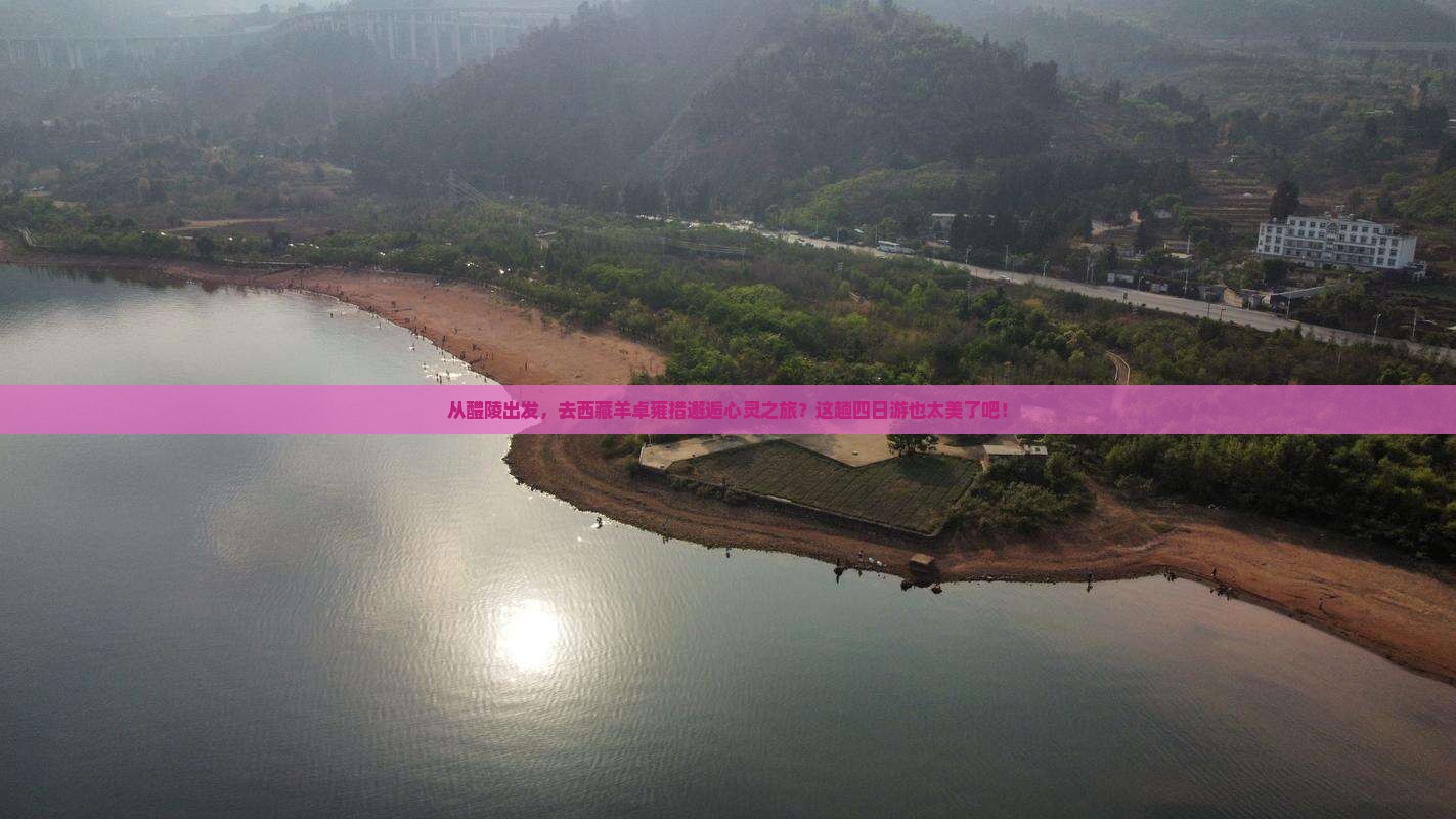 醴陵去西藏羊卓雍措四日游