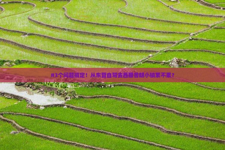 东营到西藏鲁朗小镇自由行