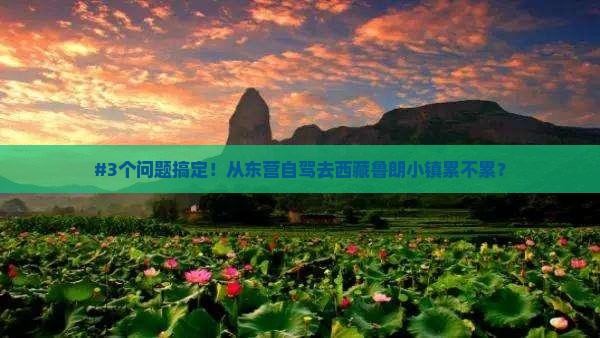 东营到西藏鲁朗小镇自由行
