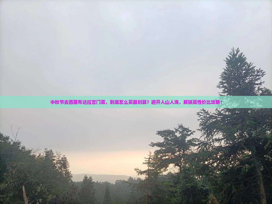 中秋节去西藏布达拉宫门票