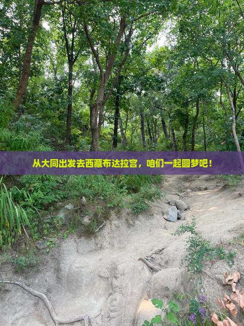 大同去西藏布达拉宫自由团