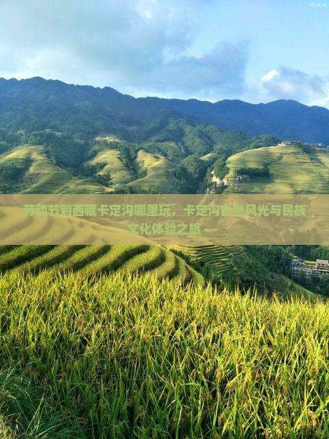 劳动节到西藏卡定沟哪里玩