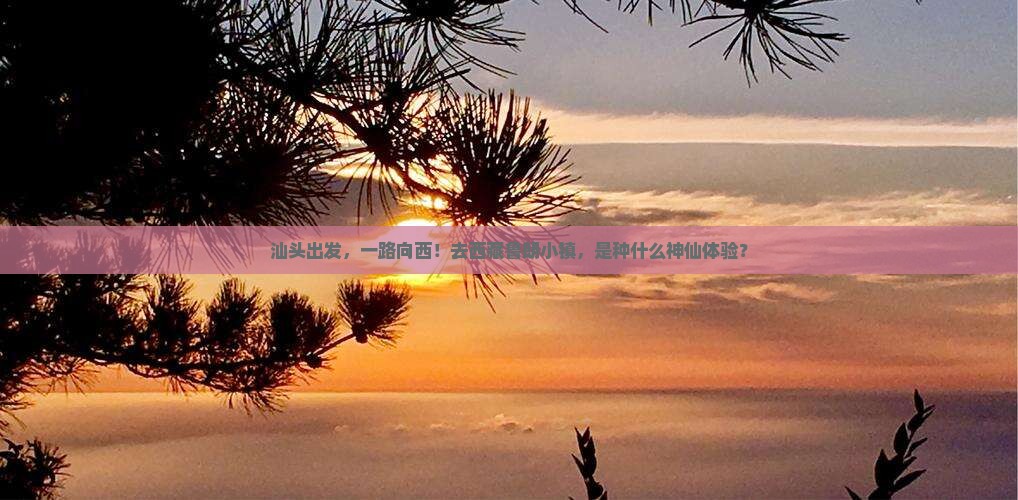汕头到西藏鲁朗小镇个人游