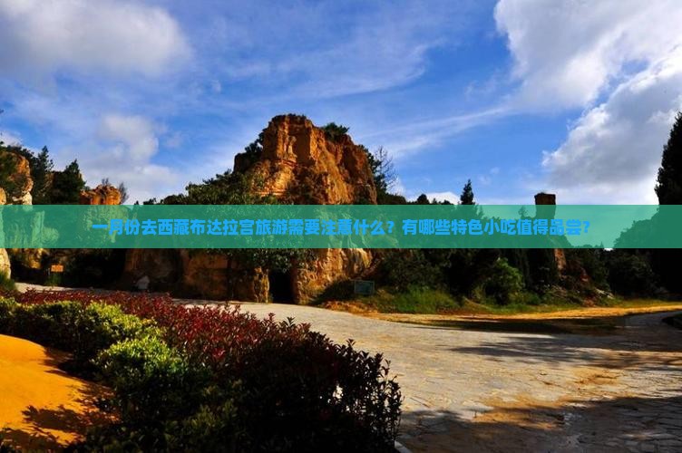 一月去西藏布达拉宫旅游小吃