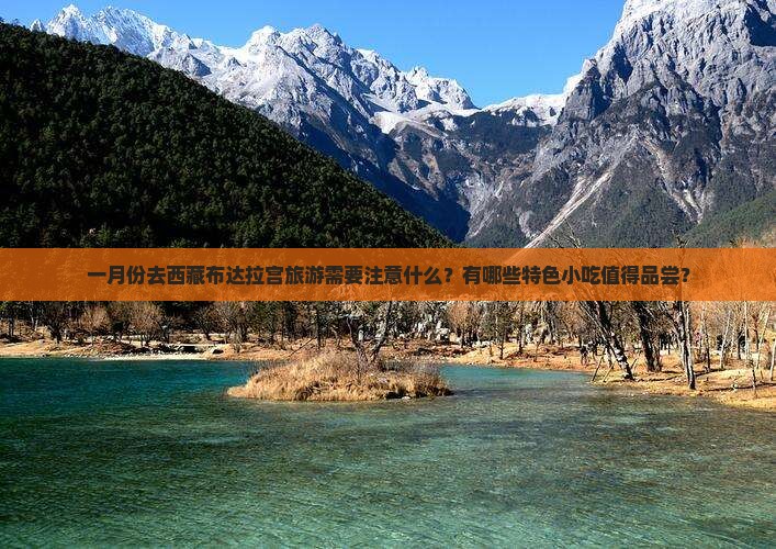 一月去西藏布达拉宫旅游小吃