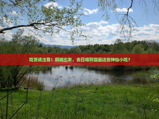 桐城去西藏日喀则旅游小吃