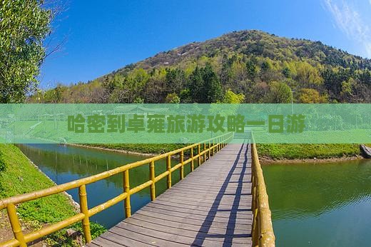 哈密到西藏羊卓雍措一日