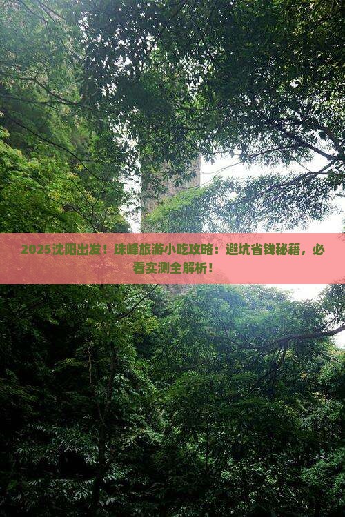 沈阳去西藏珠峰大本营旅游小吃
